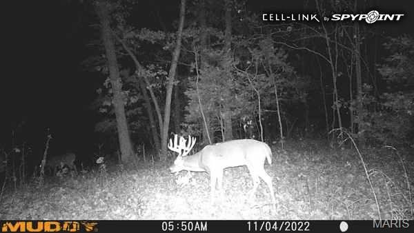 177-ac Tree Farm Road New Florence, MO 63363 - Photo 25 of 31
