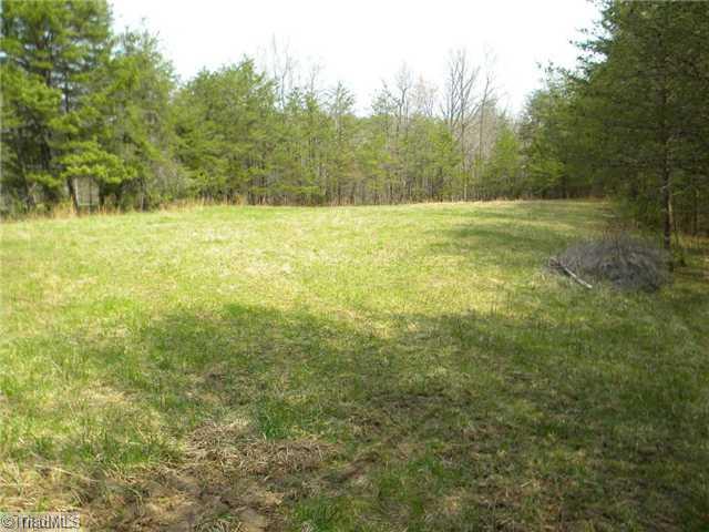 2602 Delta Church Road Sandy Ridge, NC 27046 - Photo 12 of 16 Land.