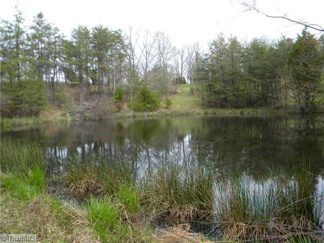 2602 Delta Church Road Sandy Ridge, NC 27046 - Photo 13 of 16 Other. Pond on west side of property.