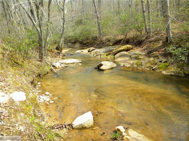 2602 Delta Church Road Sandy Ridge, NC 27046 - Photo 14 of 16 Other. Creek on west side of property.