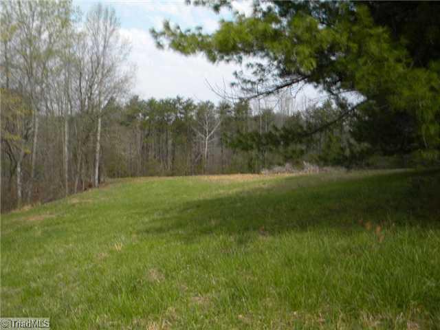 2602 Delta Church Road Sandy Ridge, NC 27046 - Photo 10 of 16 Land.