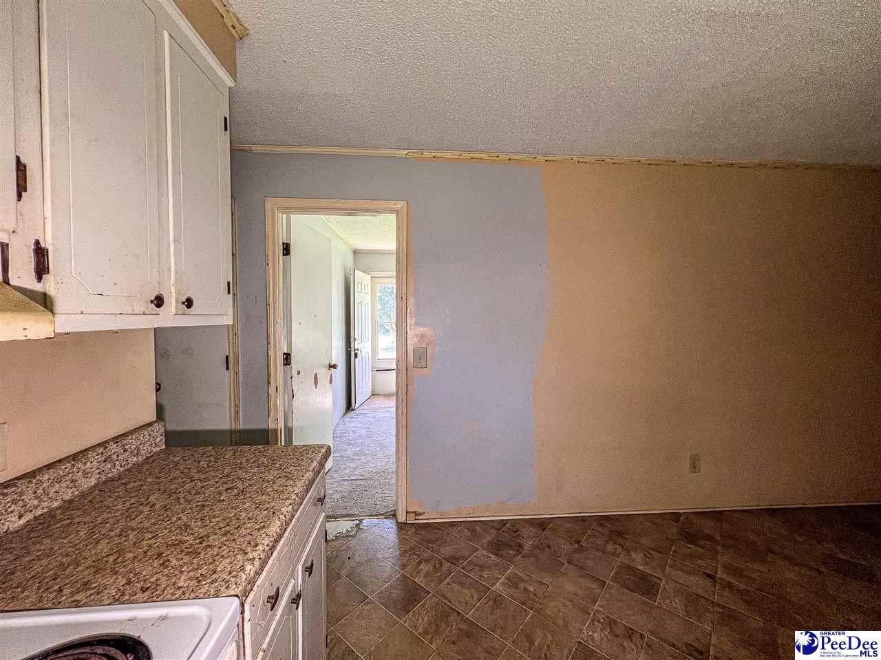 2398 State Rd S-14-28 Alcolu, SC 29001 - Photo 12 of 51 Gallery Image 12