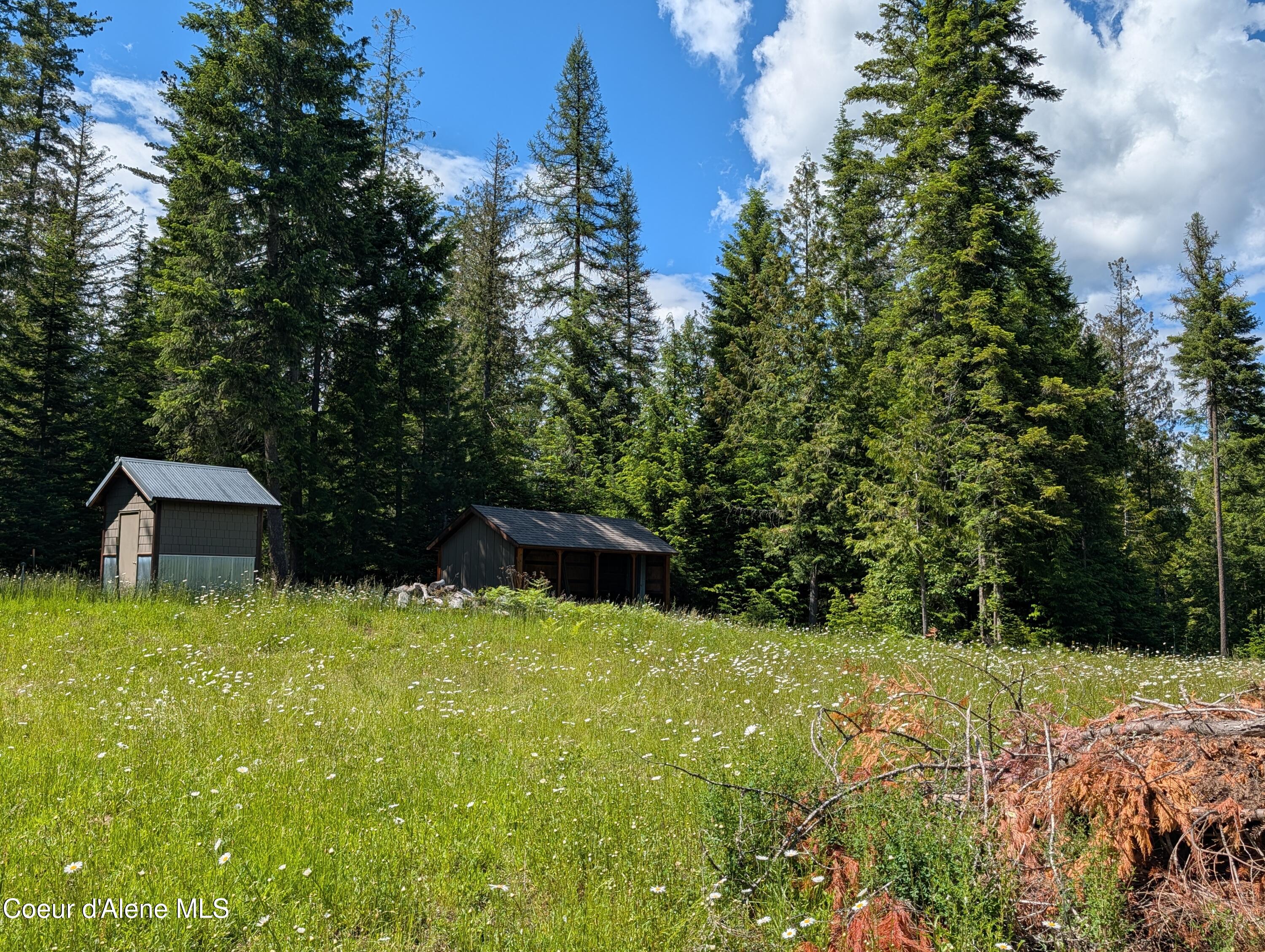 1193 Hidden Valley Road Sandpoint, ID 83864 - Photo 12 of 20 PXL_20260613_214904933