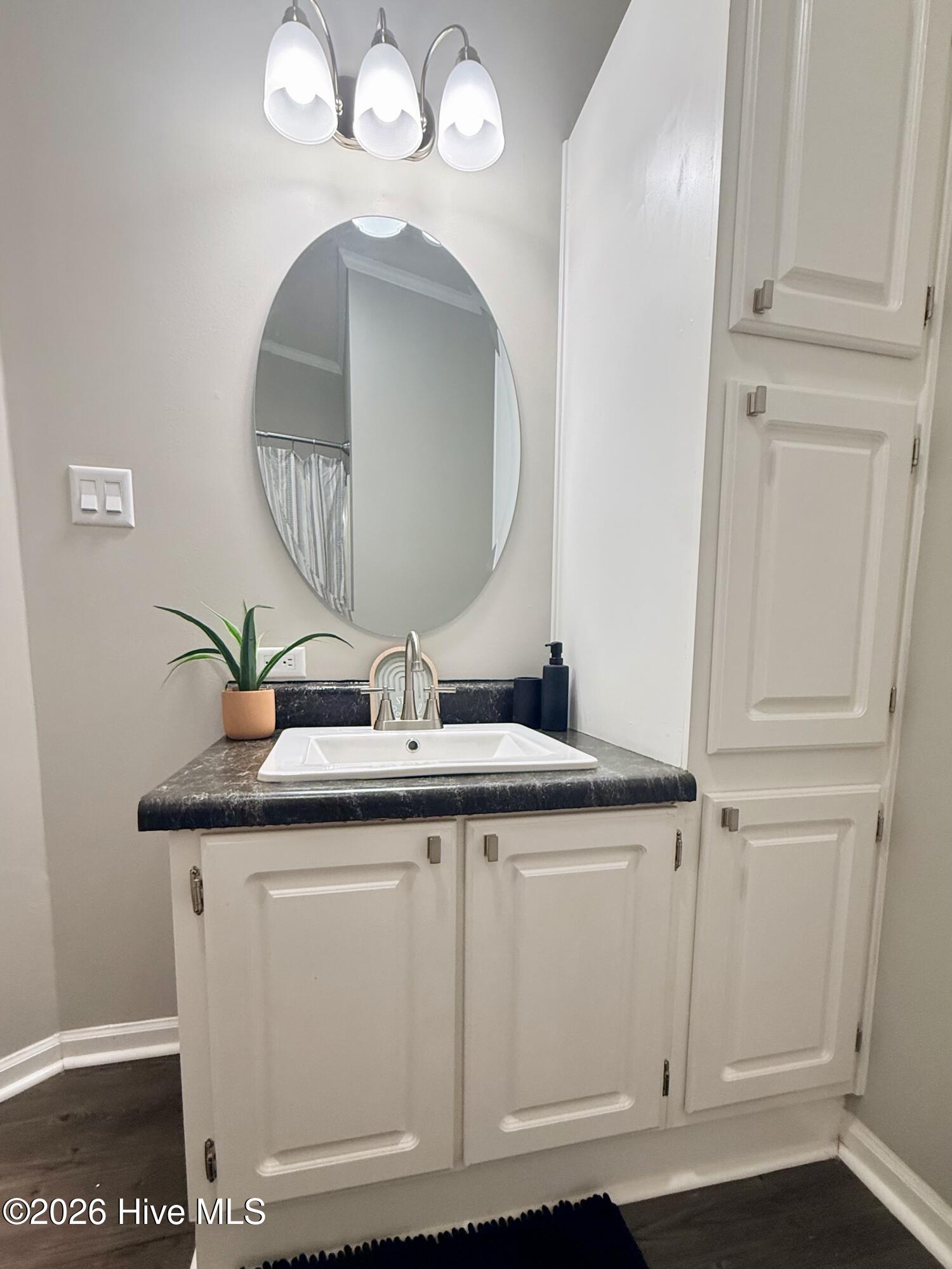 605 Big Woods Road Macon, NC 27551 - Photo 24 of 37