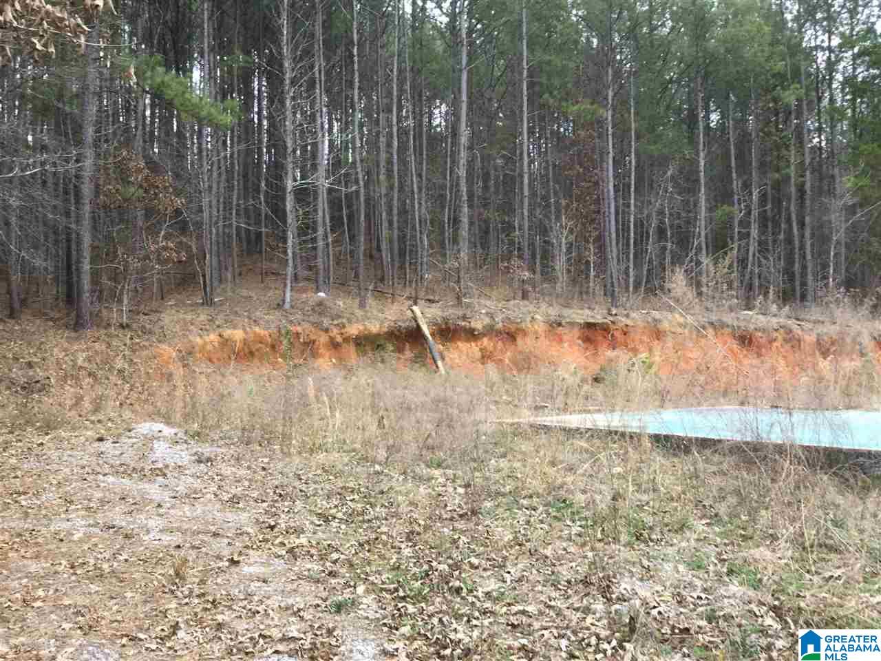 371 Hollys Lane, Unit 2 Riverside, AL 35135 - Photo 3 of 3