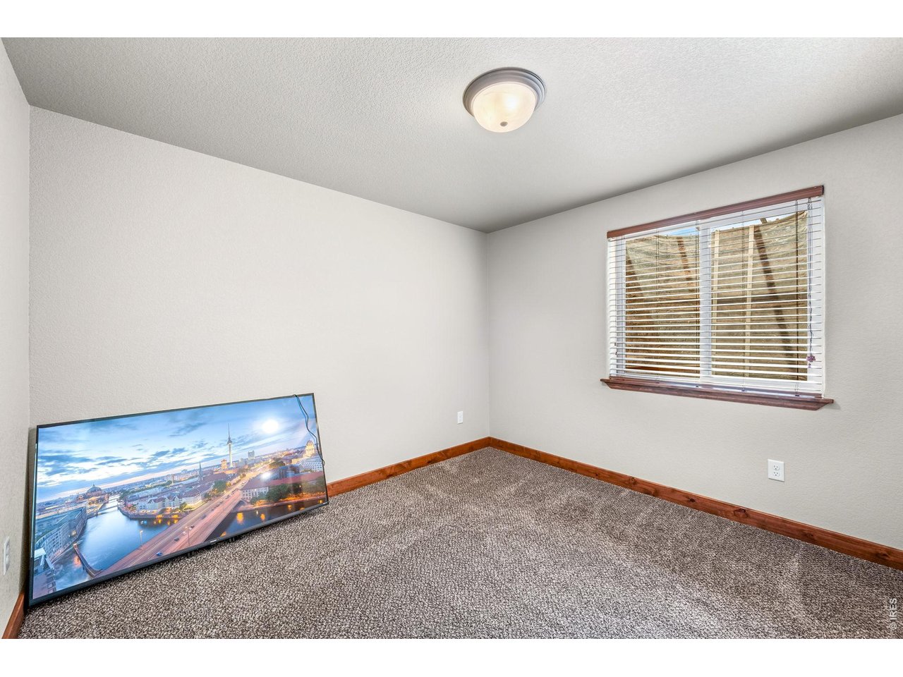 855 Mount Massive Street Berthoud, CO 80513 - Photo 20 of 25 3rd bedroom in the basement