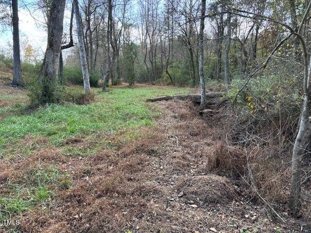 345 Buck Gunter Road Siler City, NC 27344 - Photo 11 of 14 a view of outdoor space and green space
