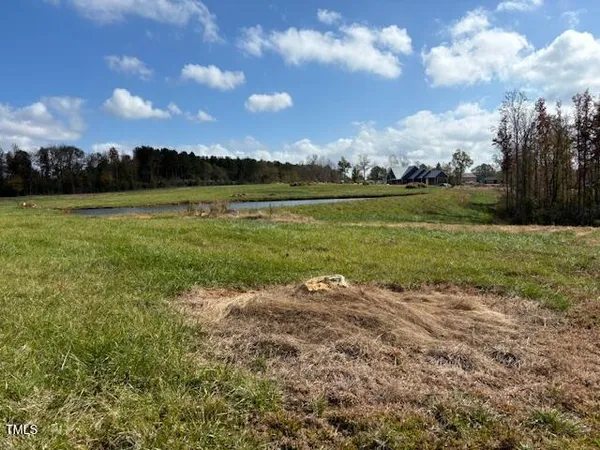 a view of a lake from a yard