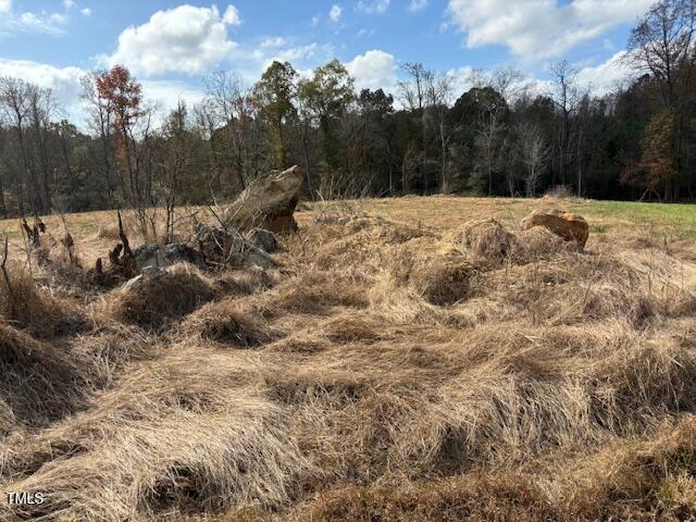 345 Buck Gunter Road Siler City, NC 27344 - Photo 13 of 14 a view of a snow with a yard