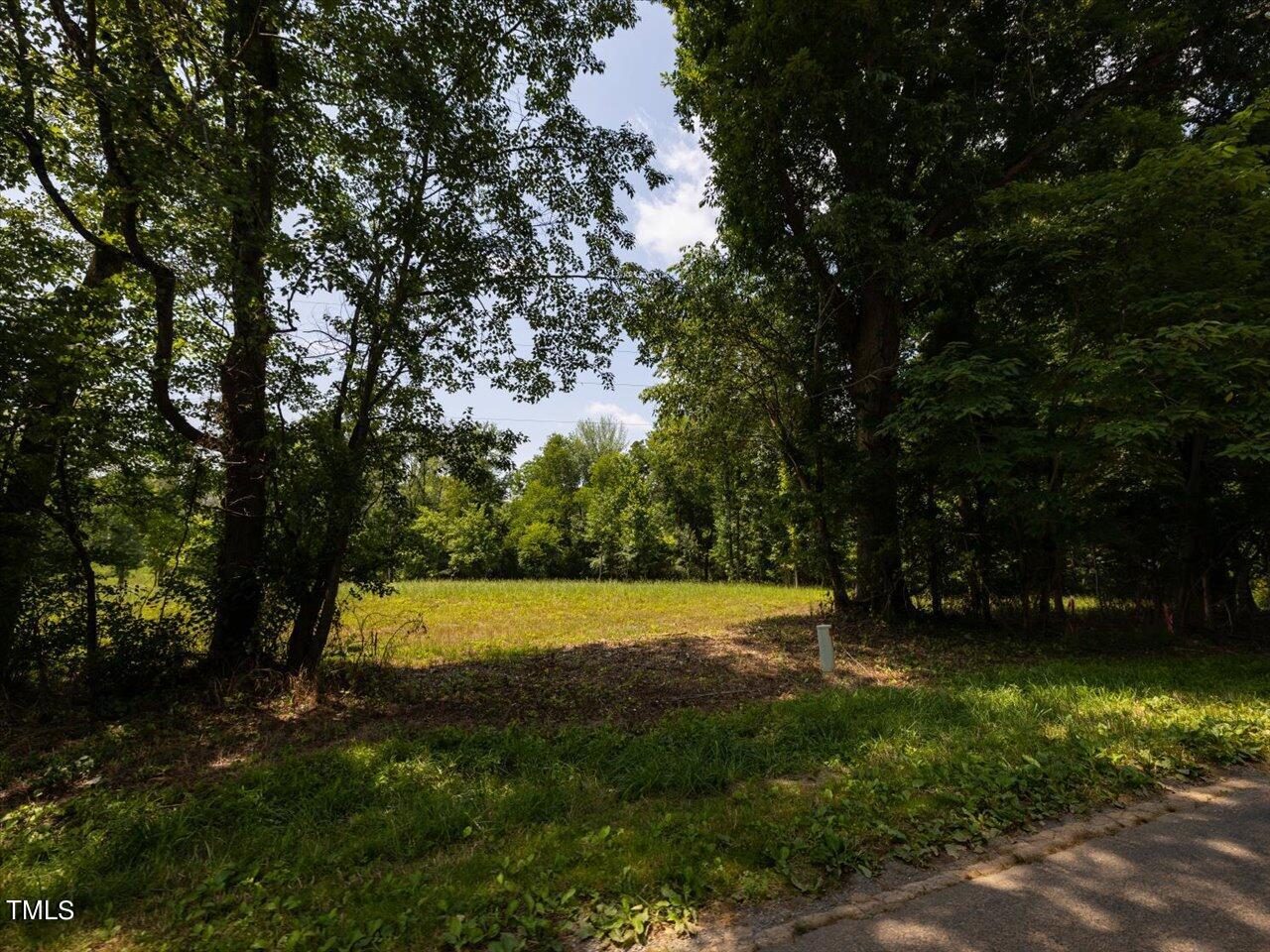 345 Buck Gunter Road Siler City, NC 27344 - Photo 8 of 14 a view of yard with trees