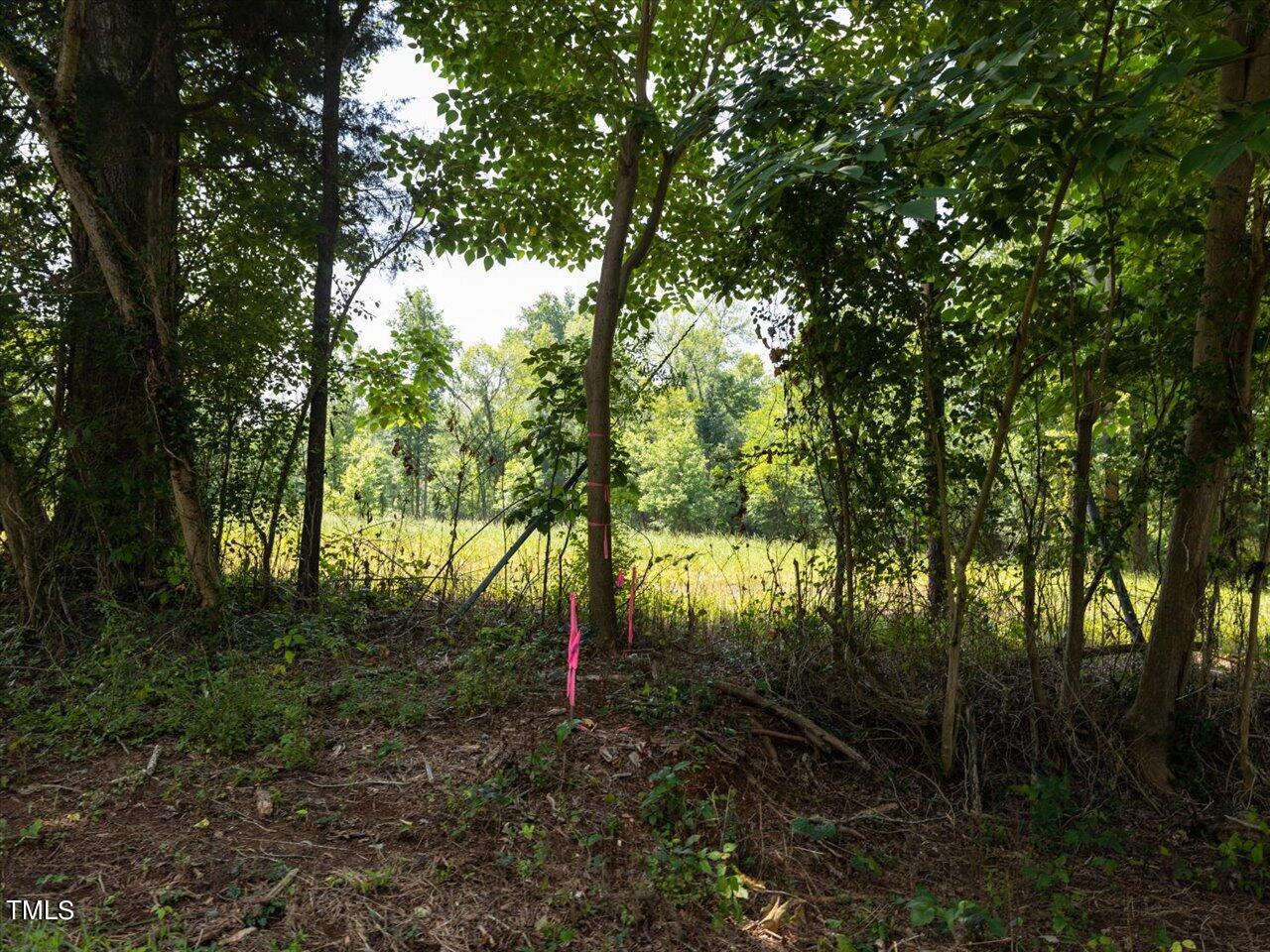 345 Buck Gunter Road Siler City, NC 27344 - Photo 9 of 14 a view of outdoor space and yard