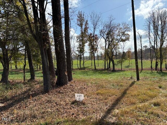 345 Buck Gunter Road Siler City, NC 27344 - Photo 10 of 14 a view of some trees in the forest