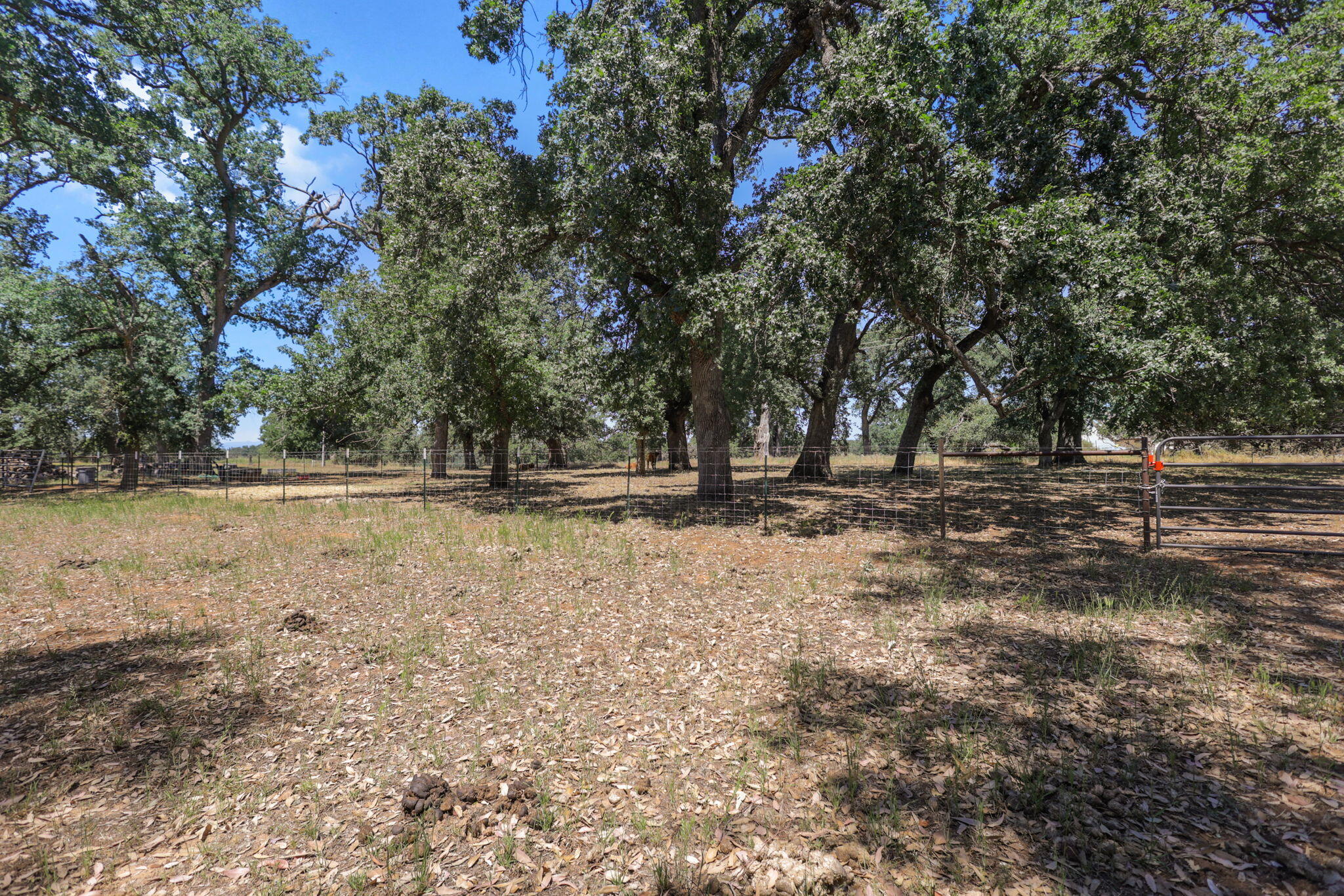 12481 Paskenta Road Red Bluff, CA 96080 - Photo 52 of 82 36-web-or-mls-8Q0A0400