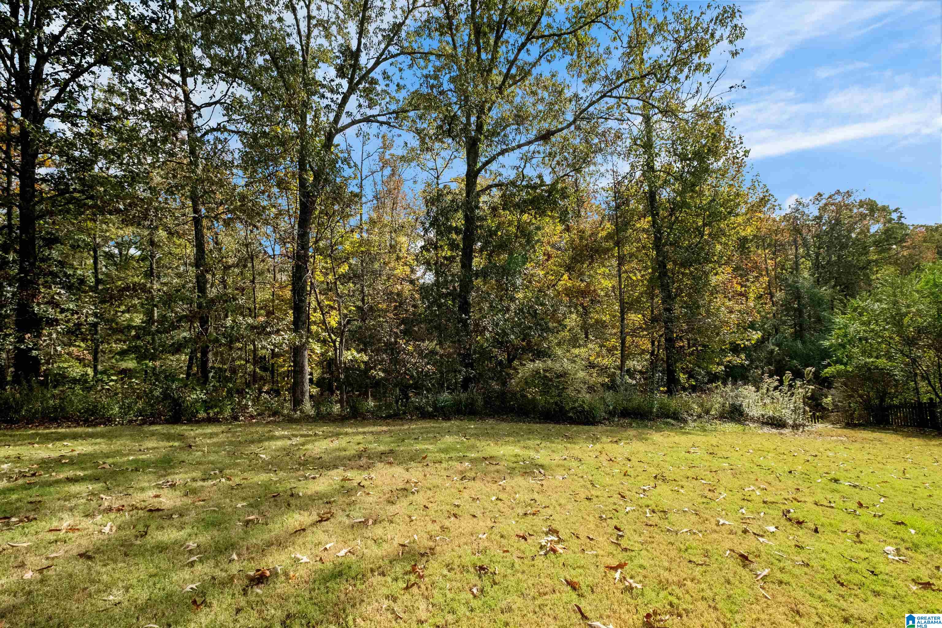 2710 Oakleaf Circle Helena, AL 35022 - Photo 46 of 50
