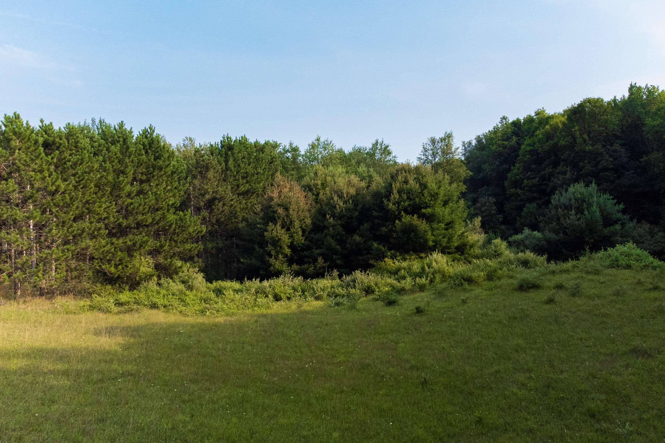 Miller Road Manistee, MI 49660 - Photo 27 of 75 Miller_Rd_East-27