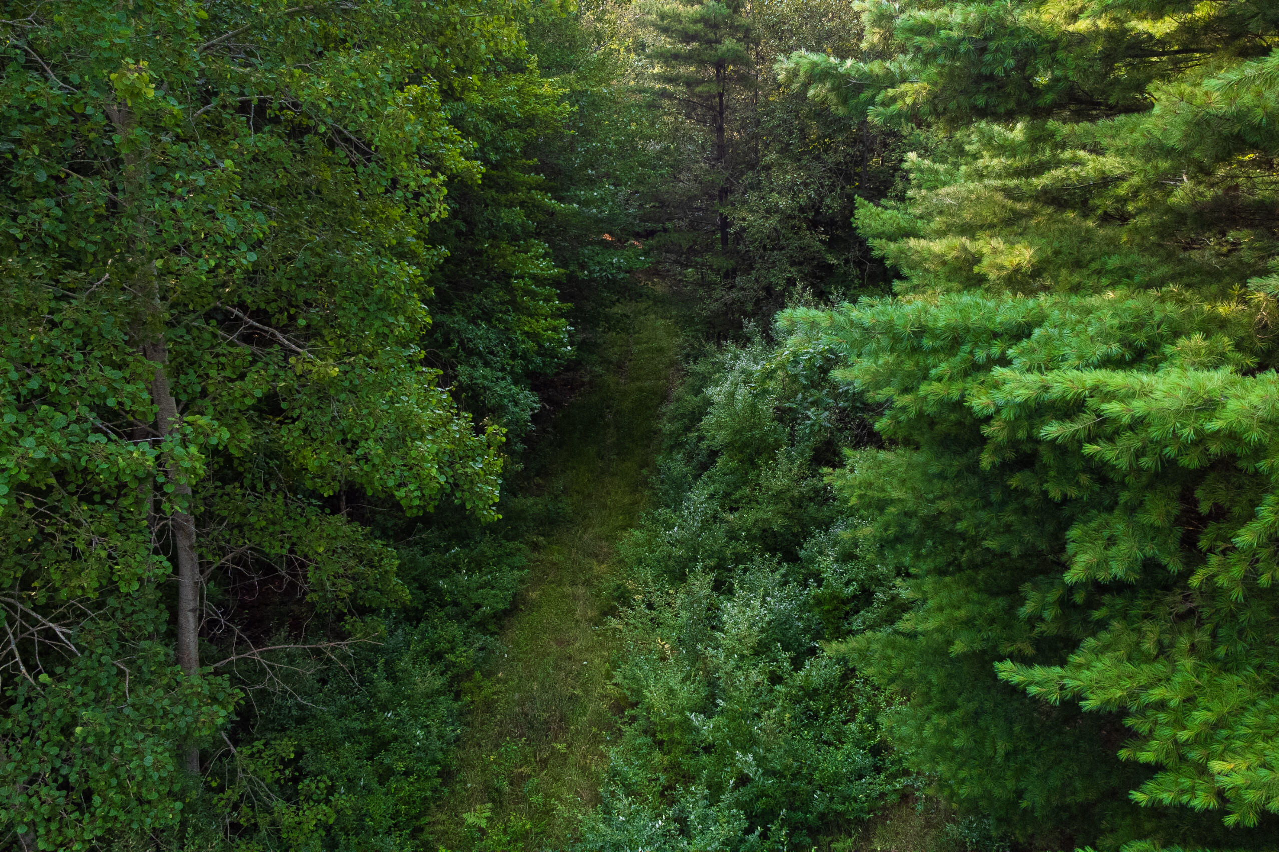 Miller Road Manistee, MI 49660 - Photo 28 of 75 Miller_Rd_East-28