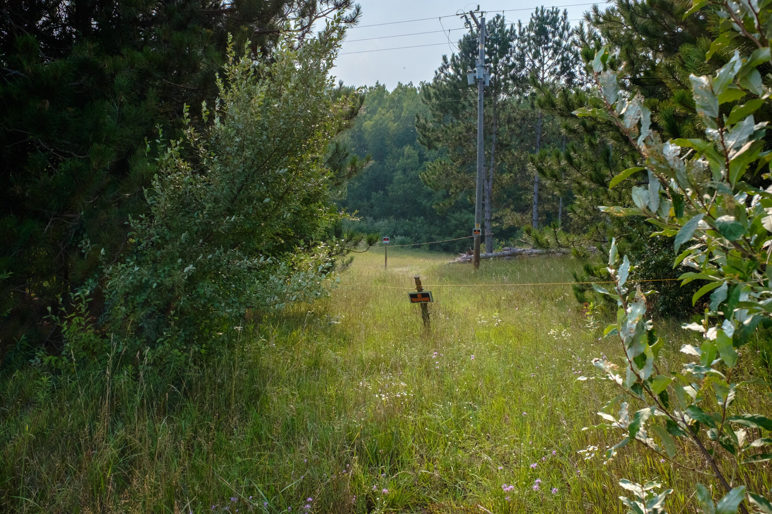 Miller Road Manistee, MI 49660 - Photo 3 of 75 Miller_Rd_East-03