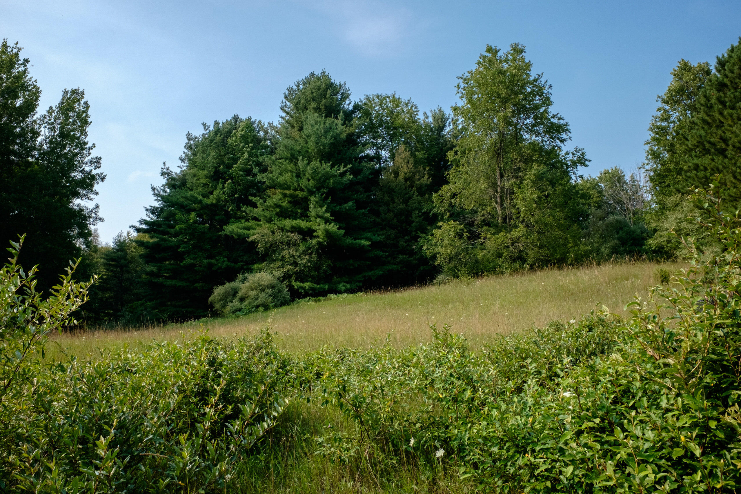 Miller Road Manistee, MI 49660 - Photo 4 of 75 Miller_Rd_East-04
