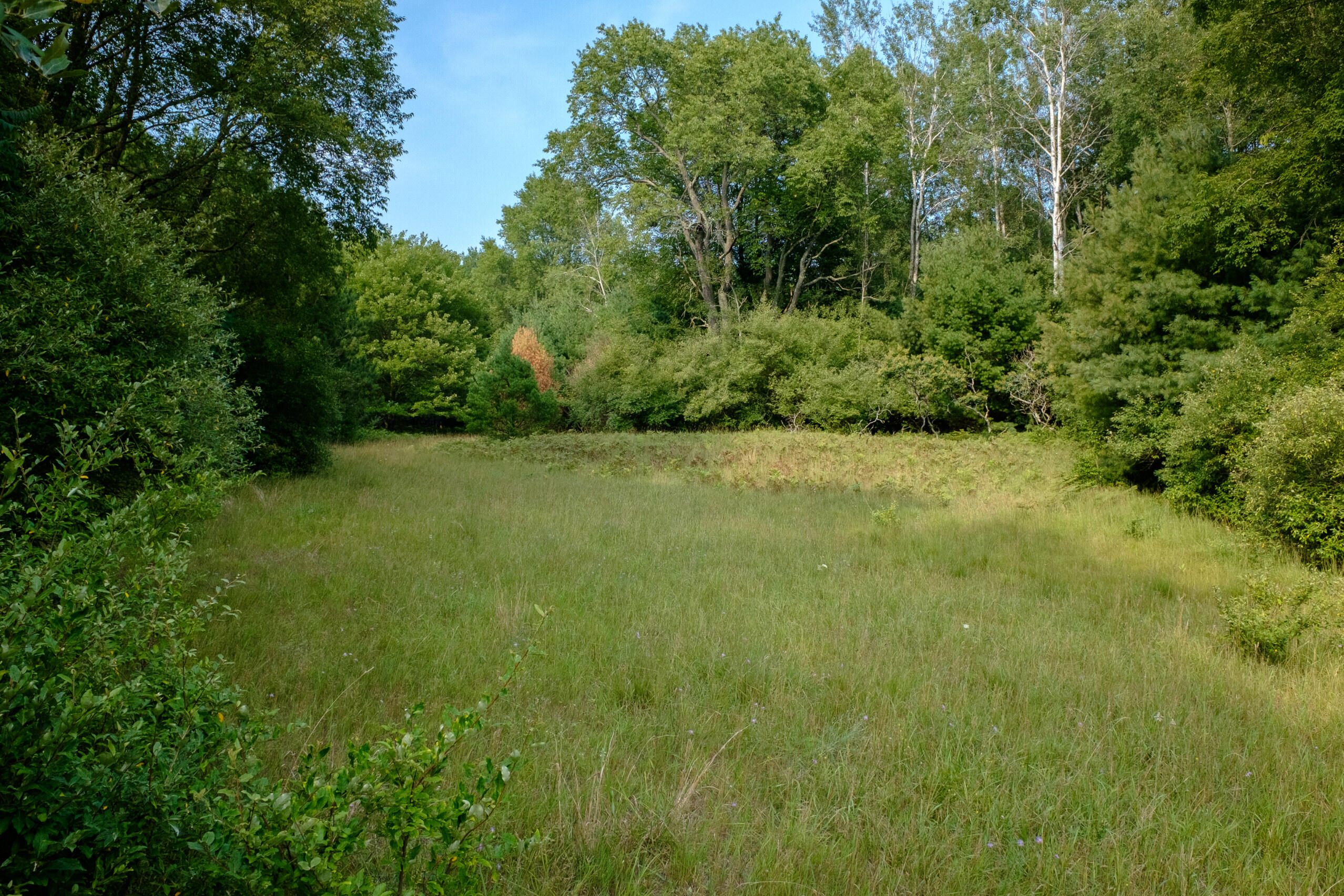 Miller Road Manistee, MI 49660 - Photo 44 of 75 Miller_Rd_West-06