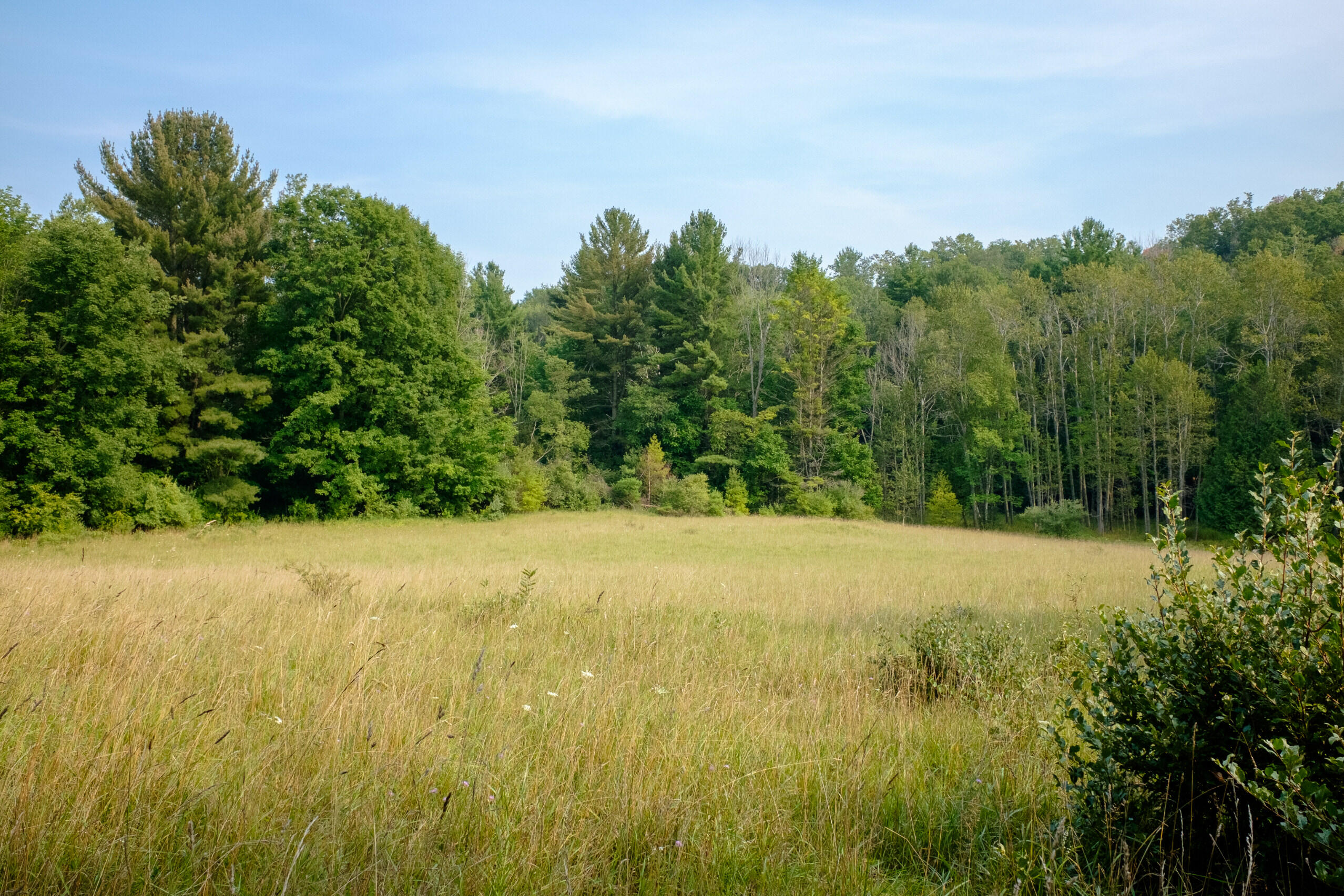 Miller Road Manistee, MI 49660 - Photo 45 of 75 Miller_Rd_West-07