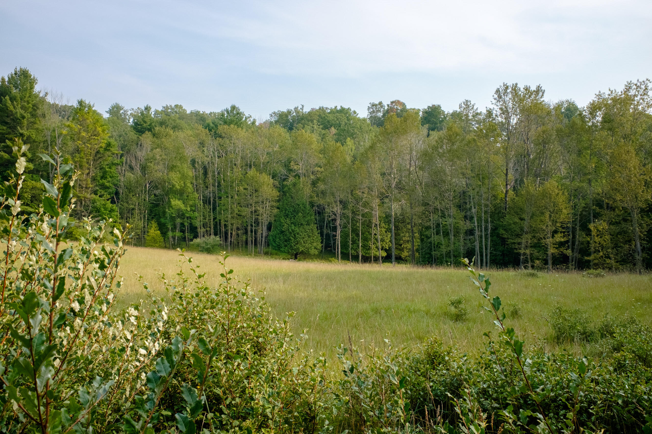 Miller Road Manistee, MI 49660 - Photo 46 of 75 Miller_Rd_West-08