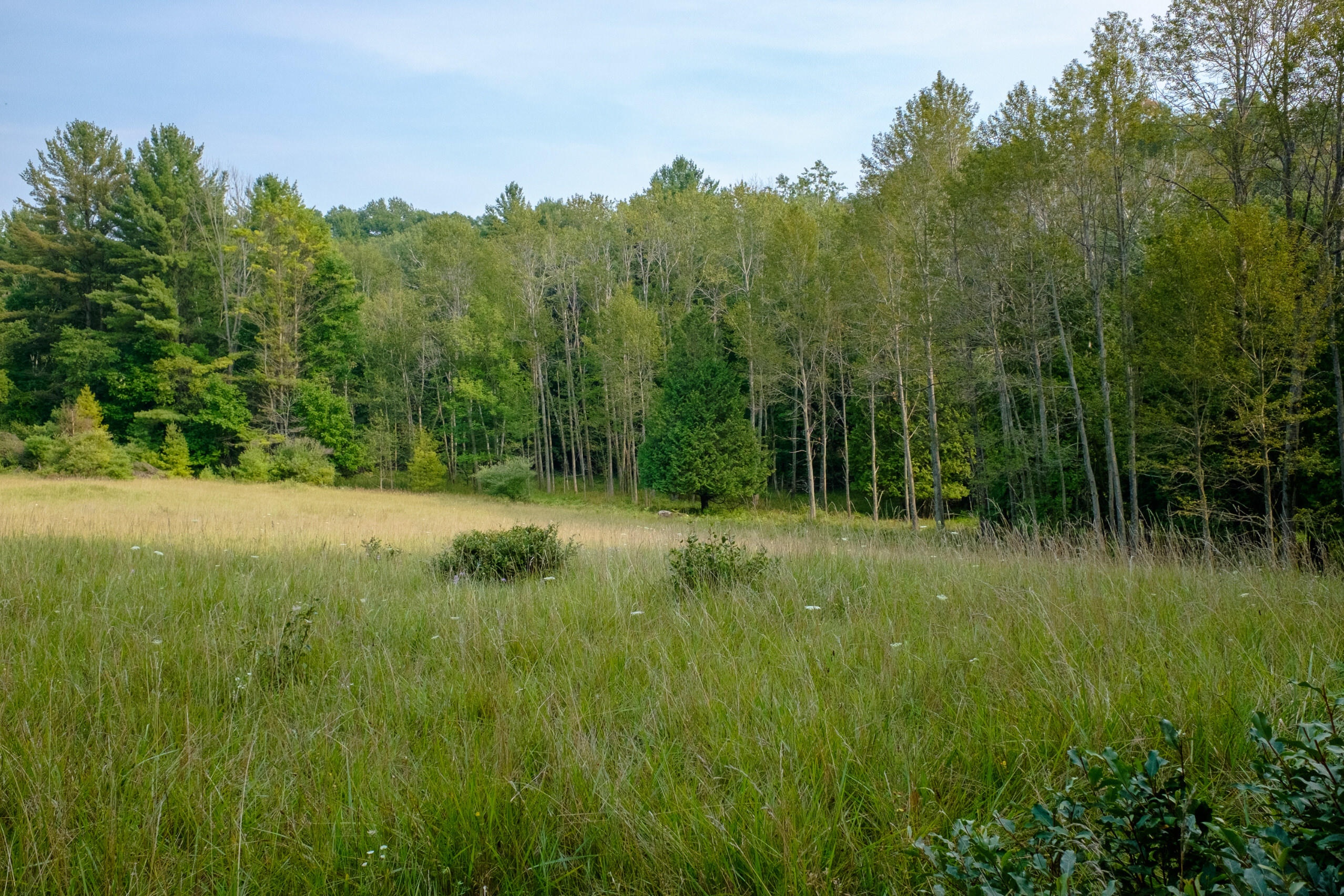 Miller Road Manistee, MI 49660 - Photo 47 of 75 Miller_Rd_West-09