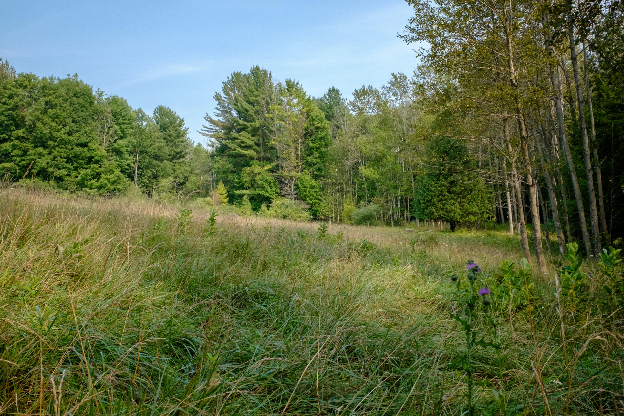 Miller Road Manistee, MI 49660 - Photo 54 of 75 Miller_Rd_West-16