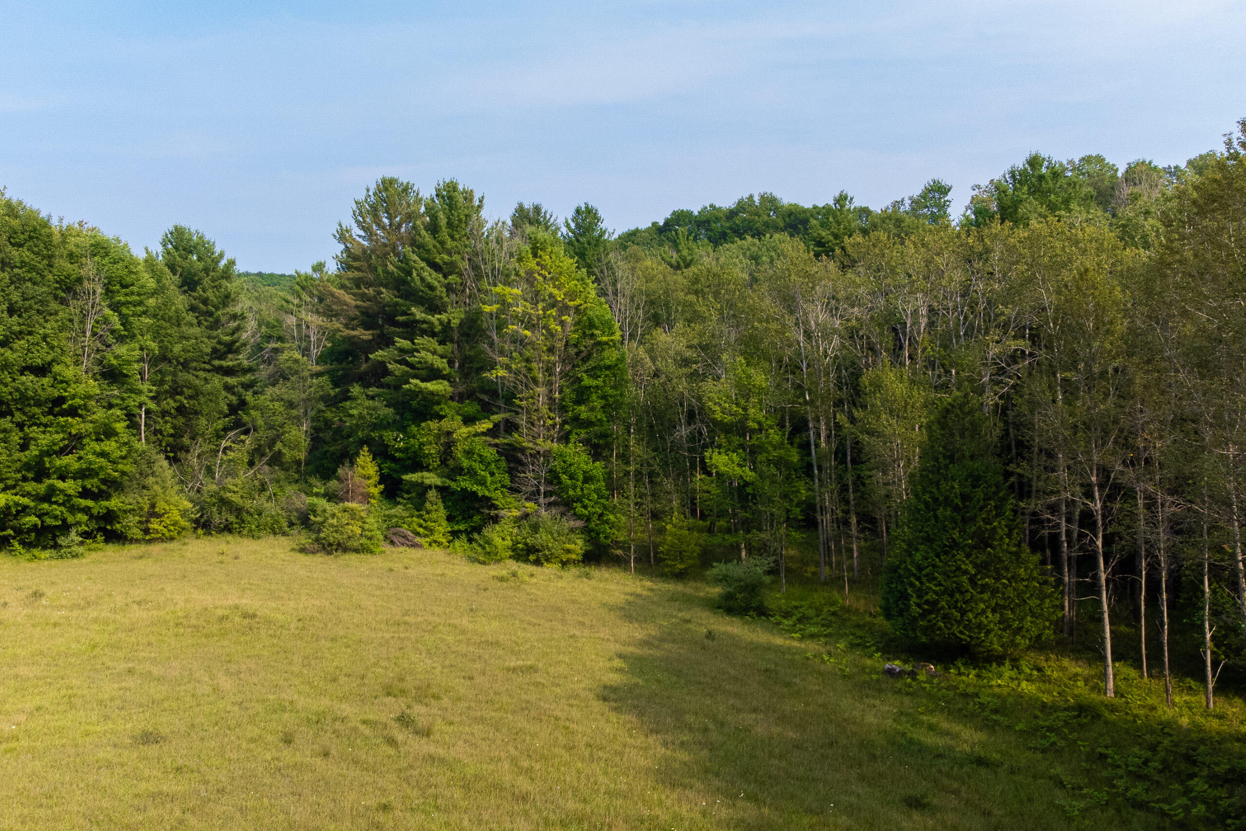 Miller Road Manistee, MI 49660 - Photo 64 of 75 Miller_Rd_West-26