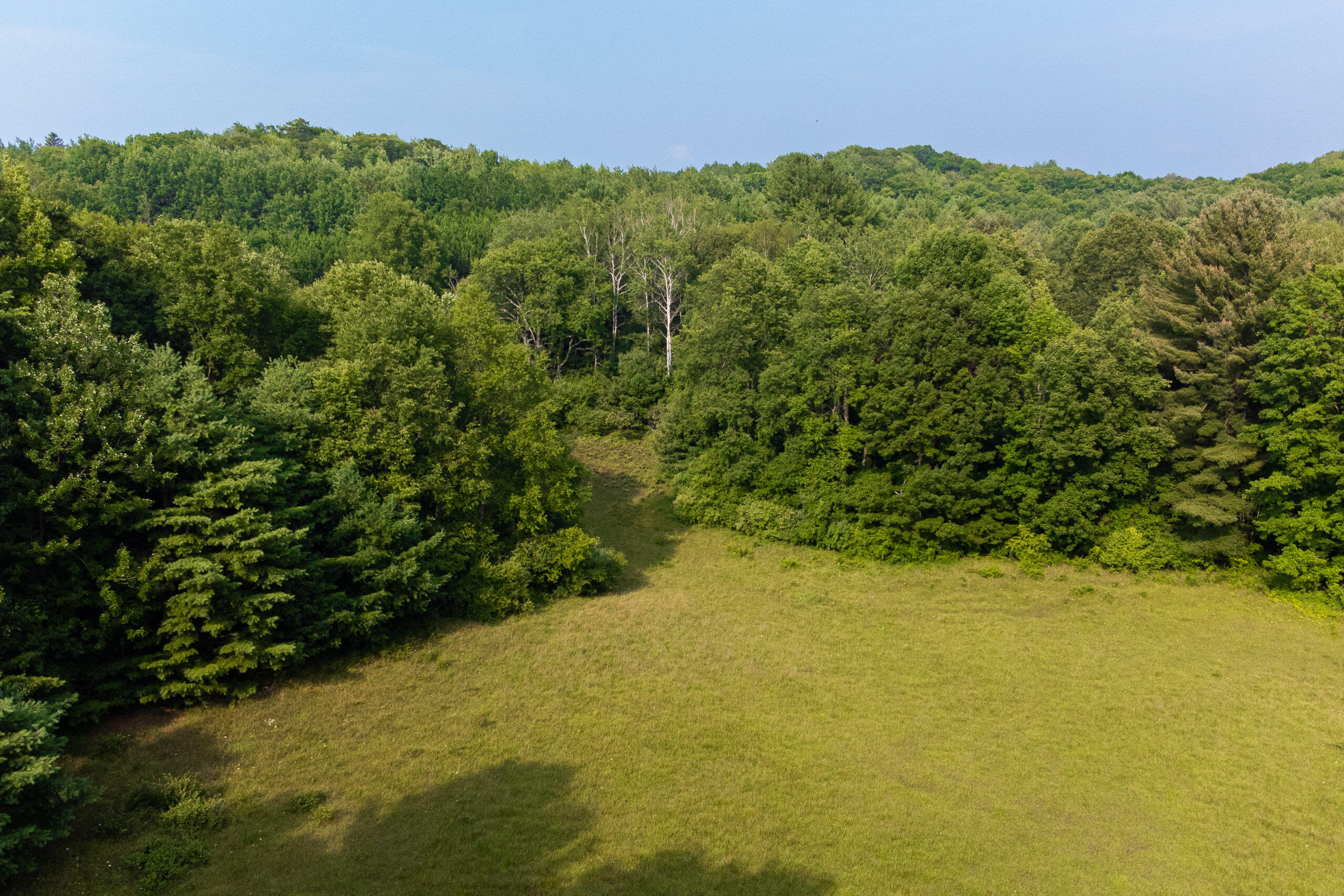 Miller Road Manistee, MI 49660 - Photo 65 of 75 Miller_Rd_West-27