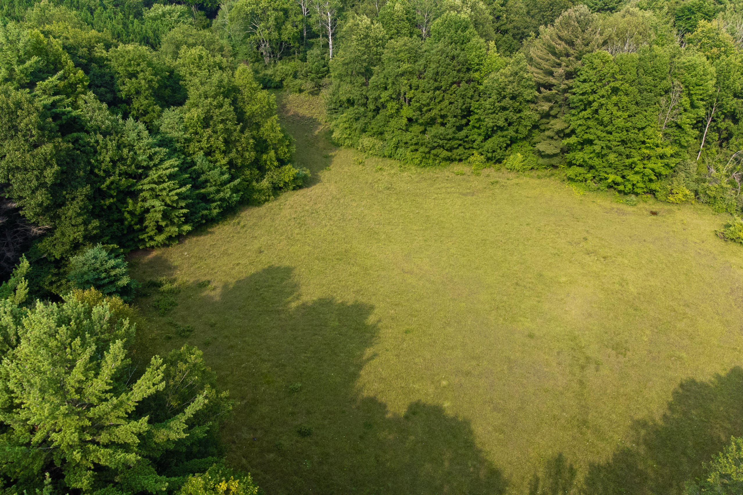 Miller Road Manistee, MI 49660 - Photo 66 of 75 Miller_Rd_West-28