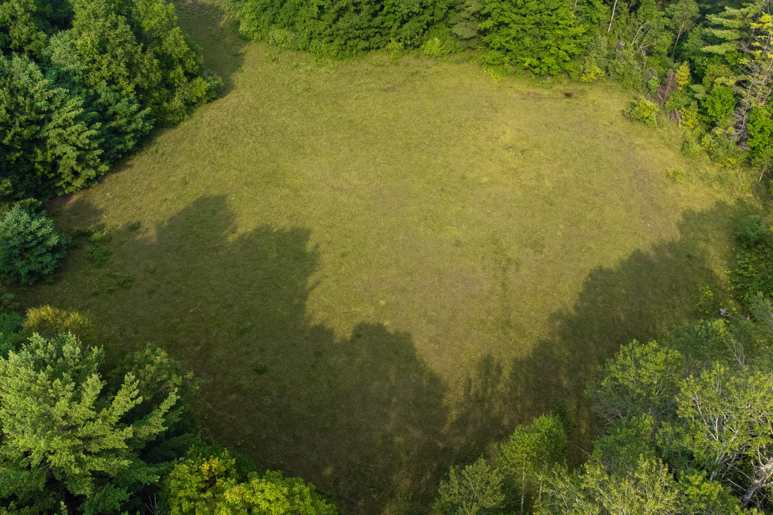 Miller Road Manistee, MI 49660 - Photo 69 of 75 Miller_Rd_West-31