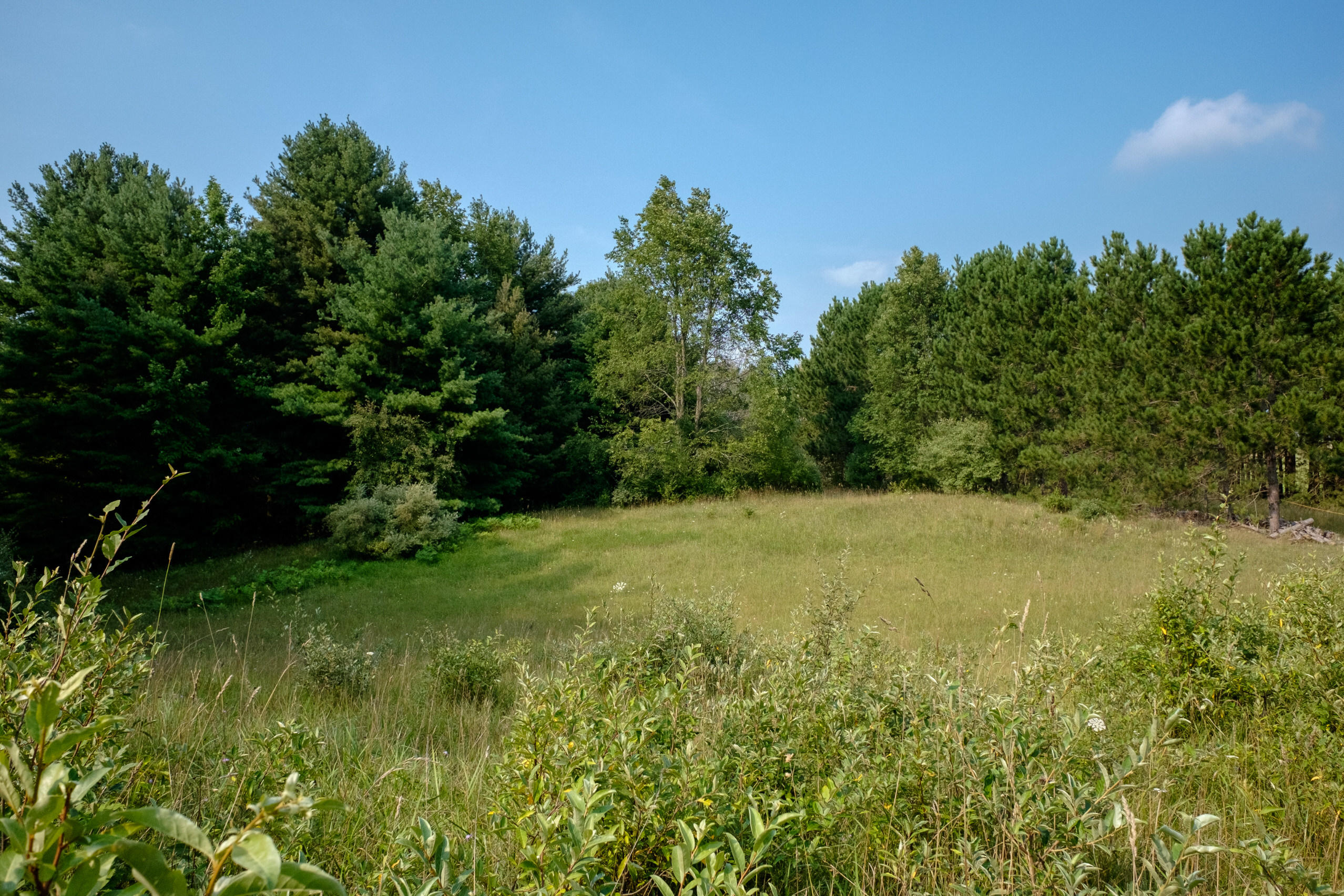 Miller Road Manistee, MI 49660 - Photo 10 of 75 Miller_Rd_East-06
