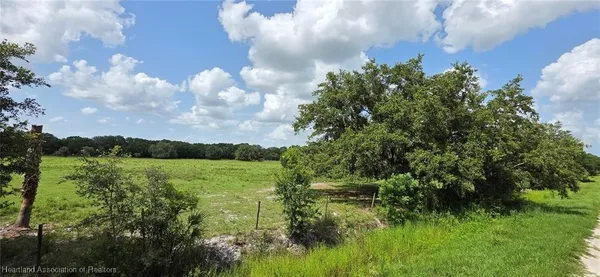 a view of a green field with lots of bushes