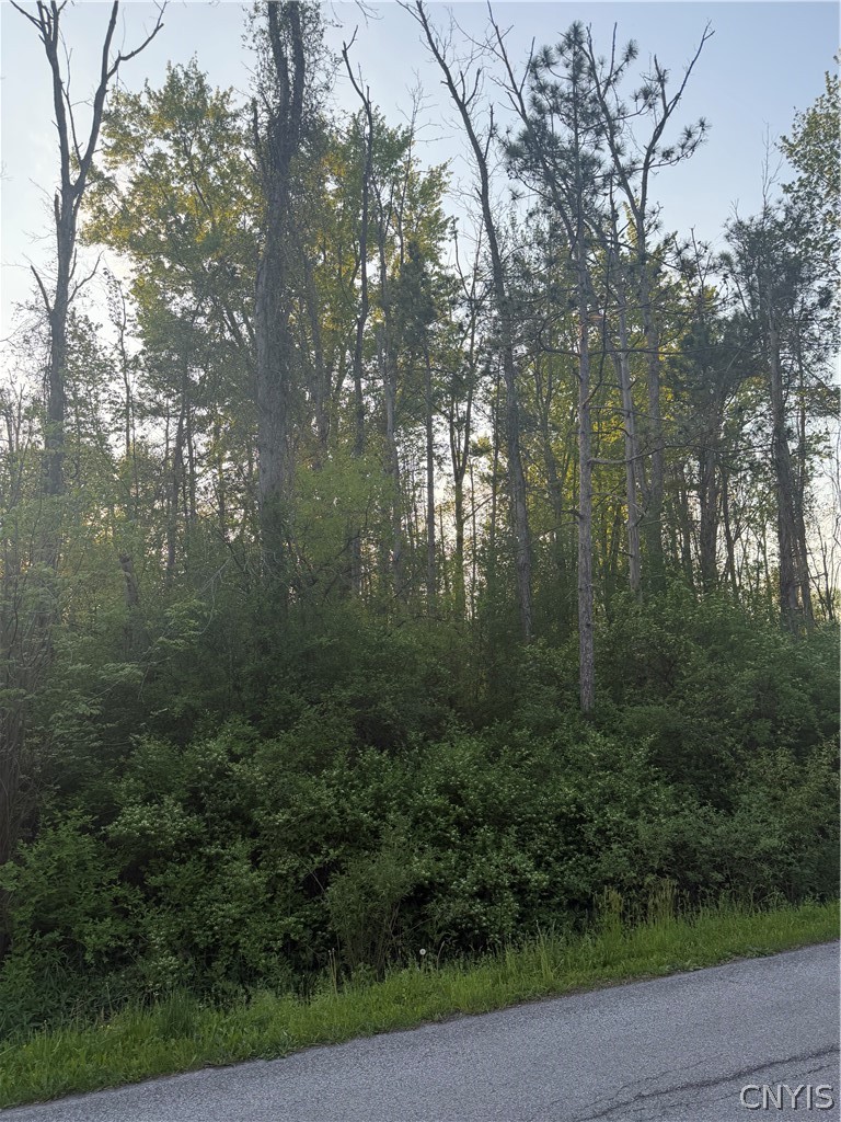 Miner Road Chittenango, NY 13037 - Photo 13 of 19