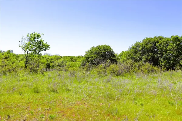 a view of a garden