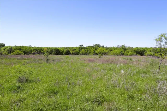 a view of a lake with a yard