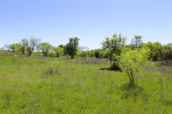 a view of lake with green space