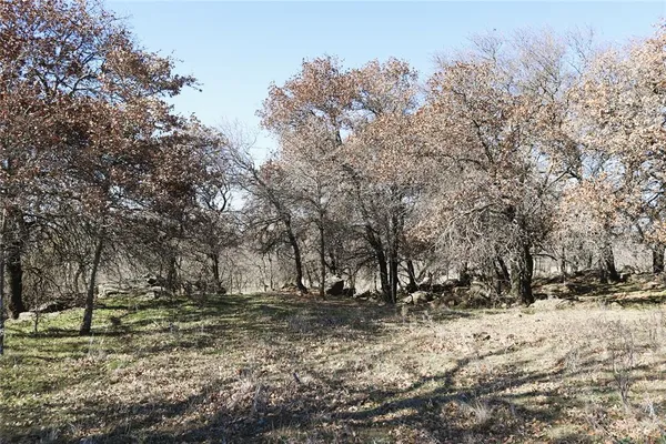 a view of yard covered with snow