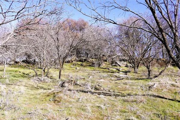 a view of backyard with green space