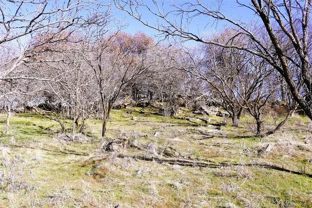 a view of backyard with green space