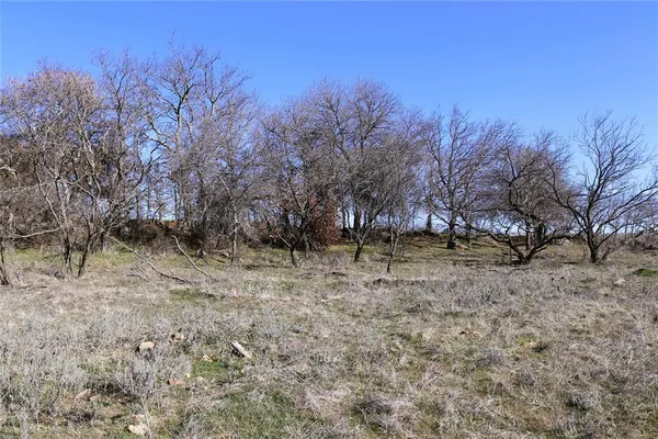 a view of a dry yard with trees in the background