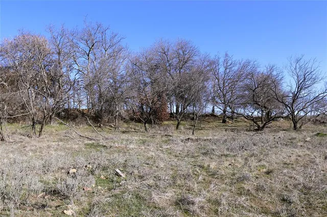 a view of a dry yard with trees in the background