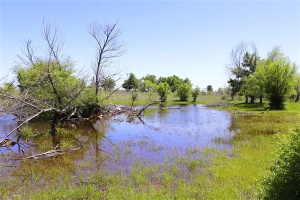 a view of yard with green space