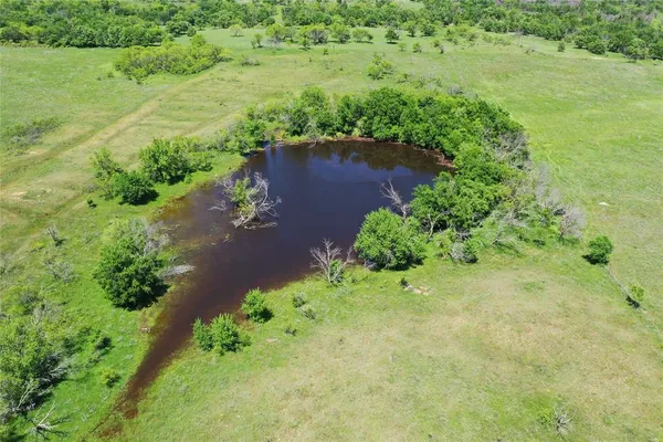 an aerial view of green landscape with trees houses and mountain view