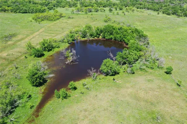 an aerial view of green landscape with trees houses and mountain view