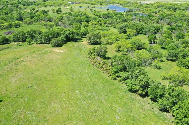 a view of a big yard with large trees