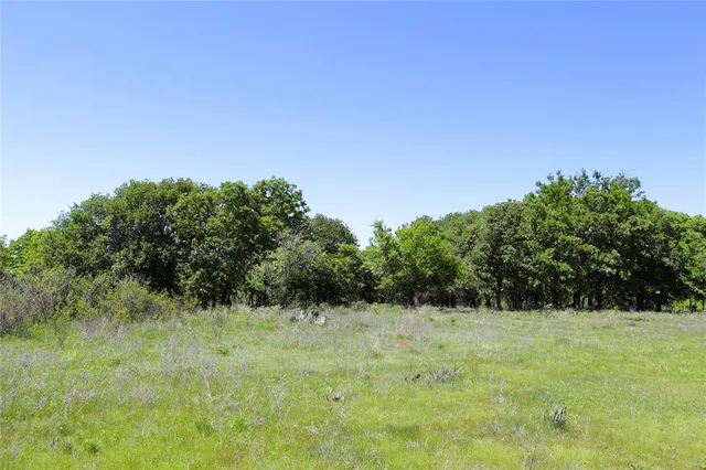 a view of a green field with wooden fence