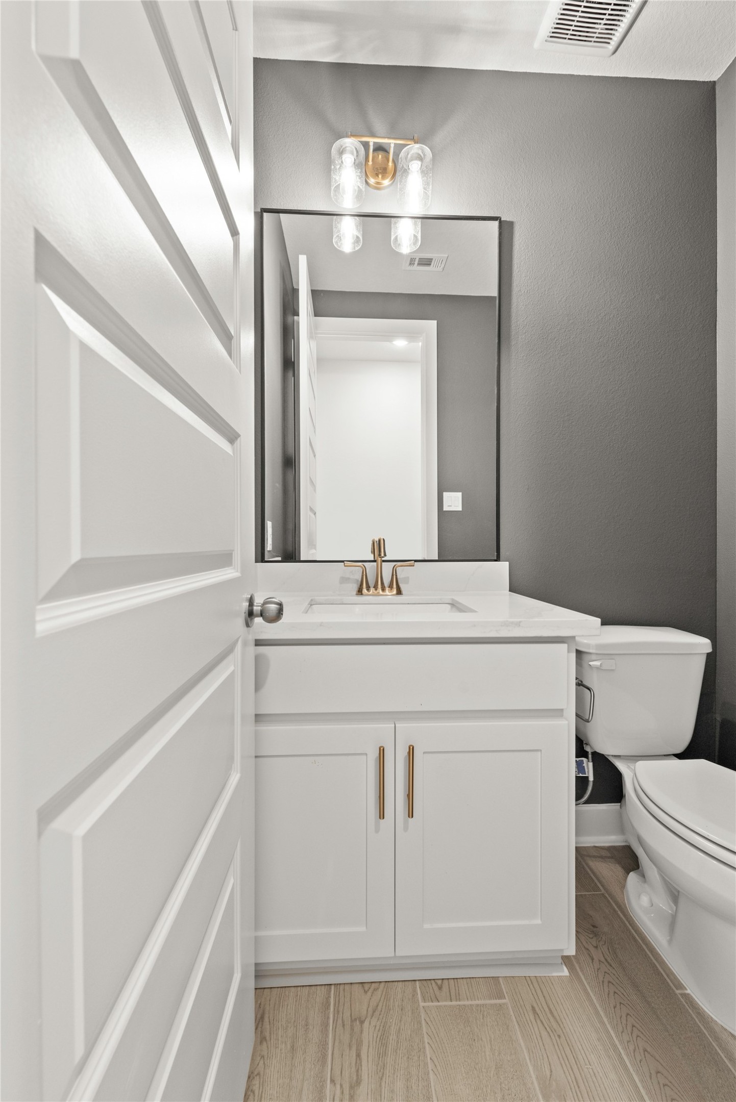 529 Buckaroo Drive Georgetown, TX 78633 - Photo 11 of 19 a bathroom with a sink vanity mirror and toilet