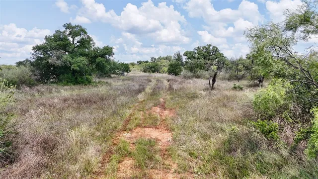 a view of a dry yard with trees
