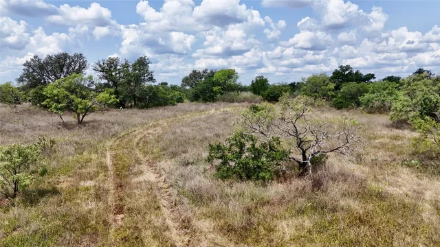 a view of a yard with plants and trees